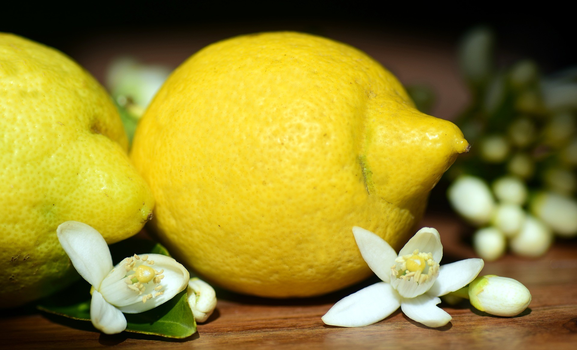 Limoncello - Sicilian Food Culture
